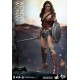 Batman v Superman Dawn of Justice Figure Movie Masterpiece 1/6 Wonder Woman