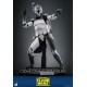 Star Wars: The Clone Wars Figura 1/6 Clone Commander Wolffe