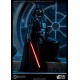 Star Wars Figure Deluxe 1/6 Darth Vader 